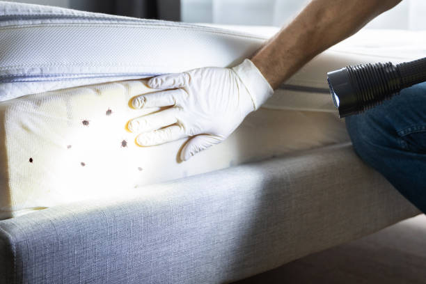 Best Wildlife Control Services  in St Gabriel, LA
