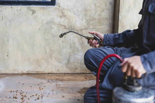 Best Pest Prevention Services  in St Gabriel, LA